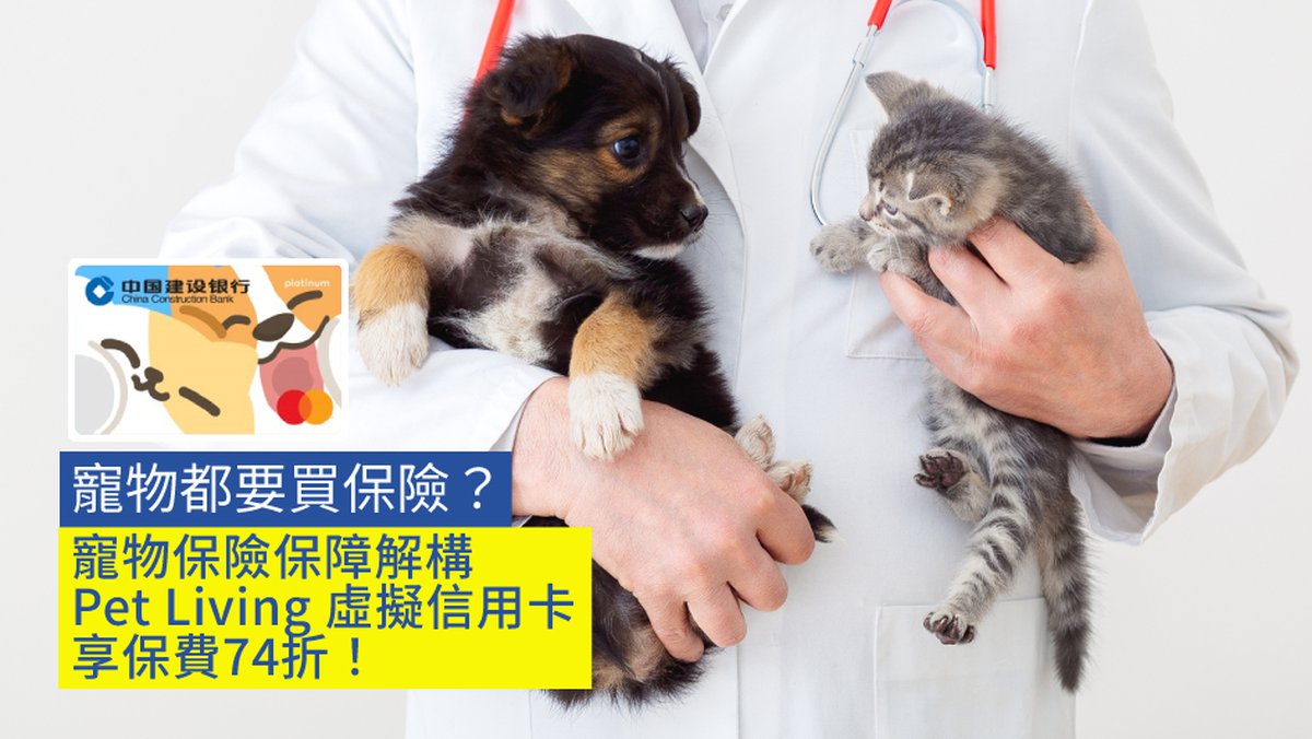 寵物都要買保險？寵物保險保障解構 Pet Living 虛擬信用卡享保費74折！