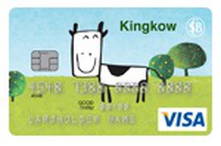 Kingkow VISA 卡